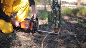 Landscape Design and Installation in Marysville, KS